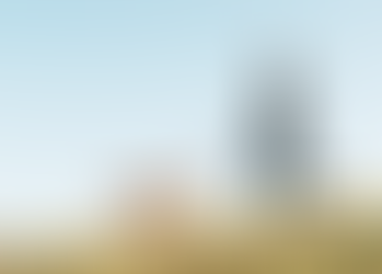 Running with Your Dog: Tips for a Safe and Enjoyable Experience