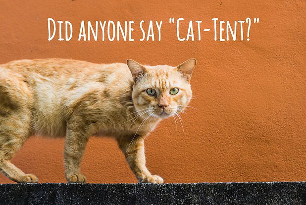 catent.jpg
