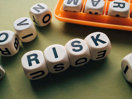 Embrace Risk: The Path to Wealth and Success