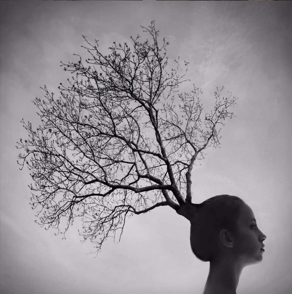 THE COLLECTIVE METAPHYSICS