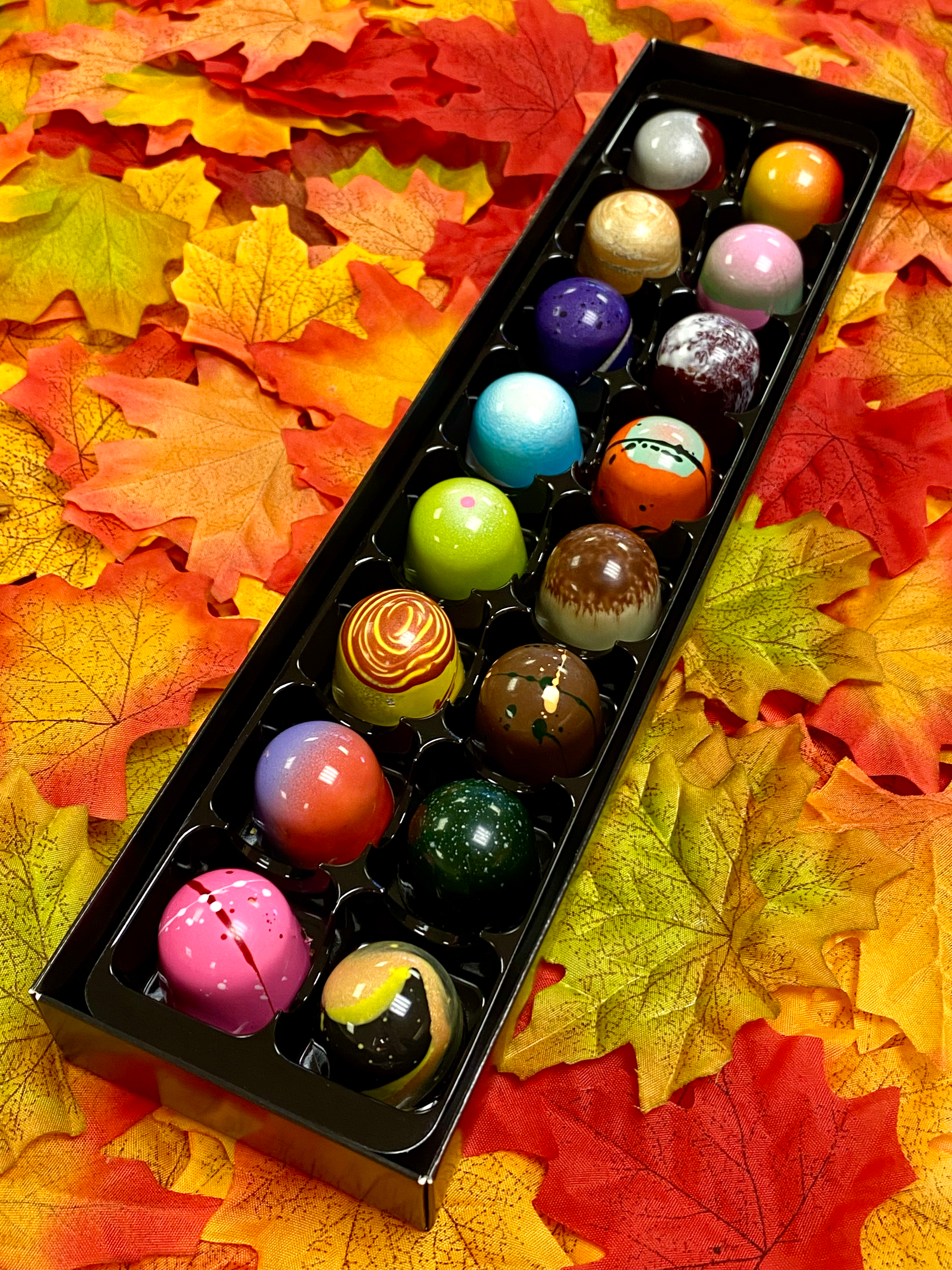 XMAS PRE-ORDER Ollie's 2025 Signature Sixteen