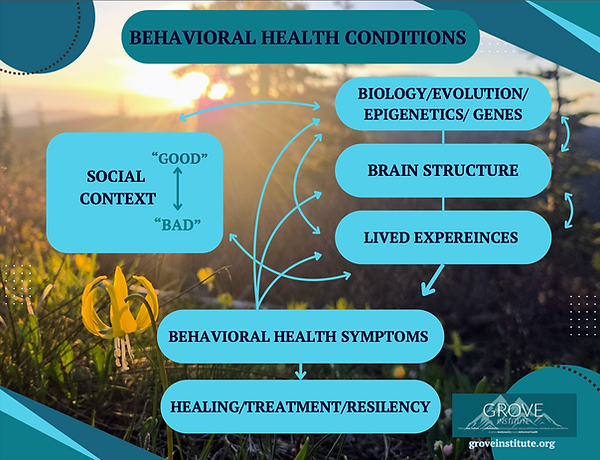 Screenshot 2025-11-06 at 2.26.39 PM.png