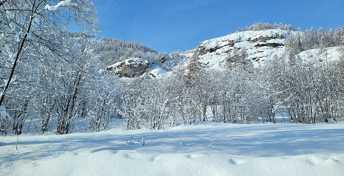 20240106_101509.jpg