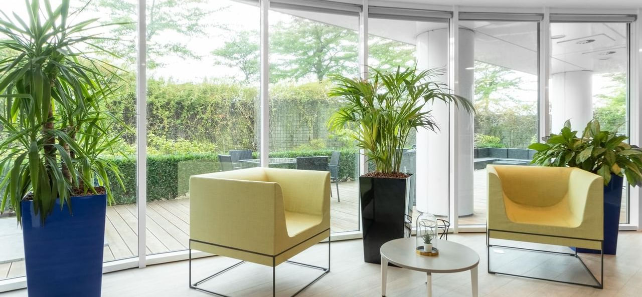 Espace de coworking Regus Pegasuslaan, salle de réunion avec vue