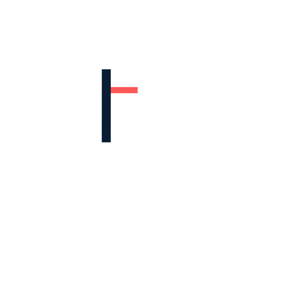 MESH IMMO (3).png