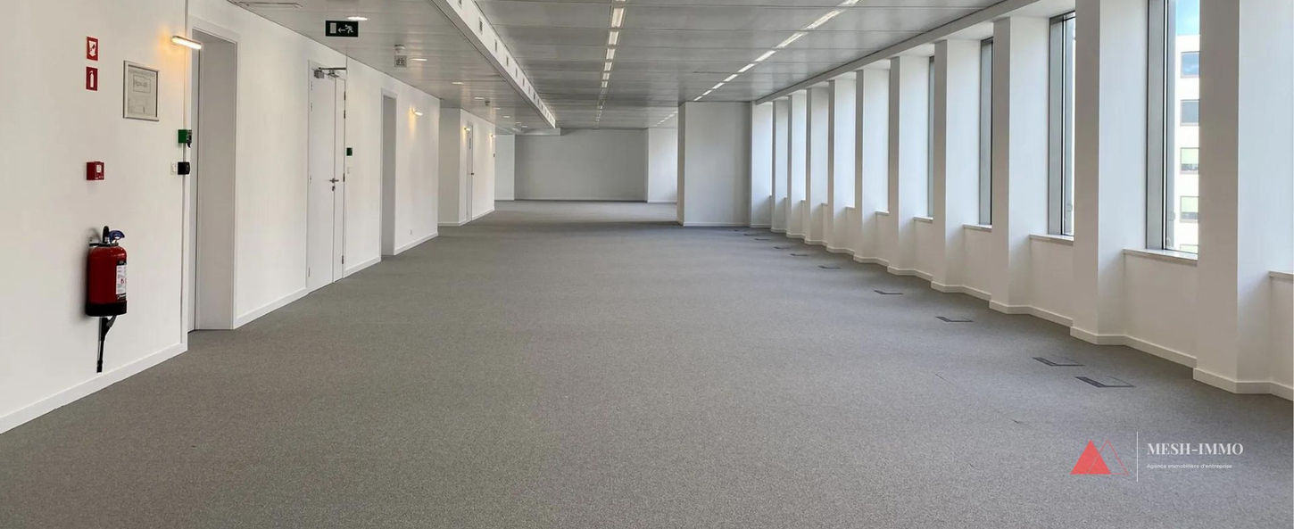 Bureaux à proximité des Parcs Léopold et du Cinquantenaire, Bruxelles