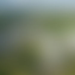 Bureaux à louer à Braine-l'Alleud avec Mesh-Immo : Flexibilité et accessibilité