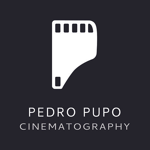 PPcine_Branding_WhiteOnBlack.jpg
