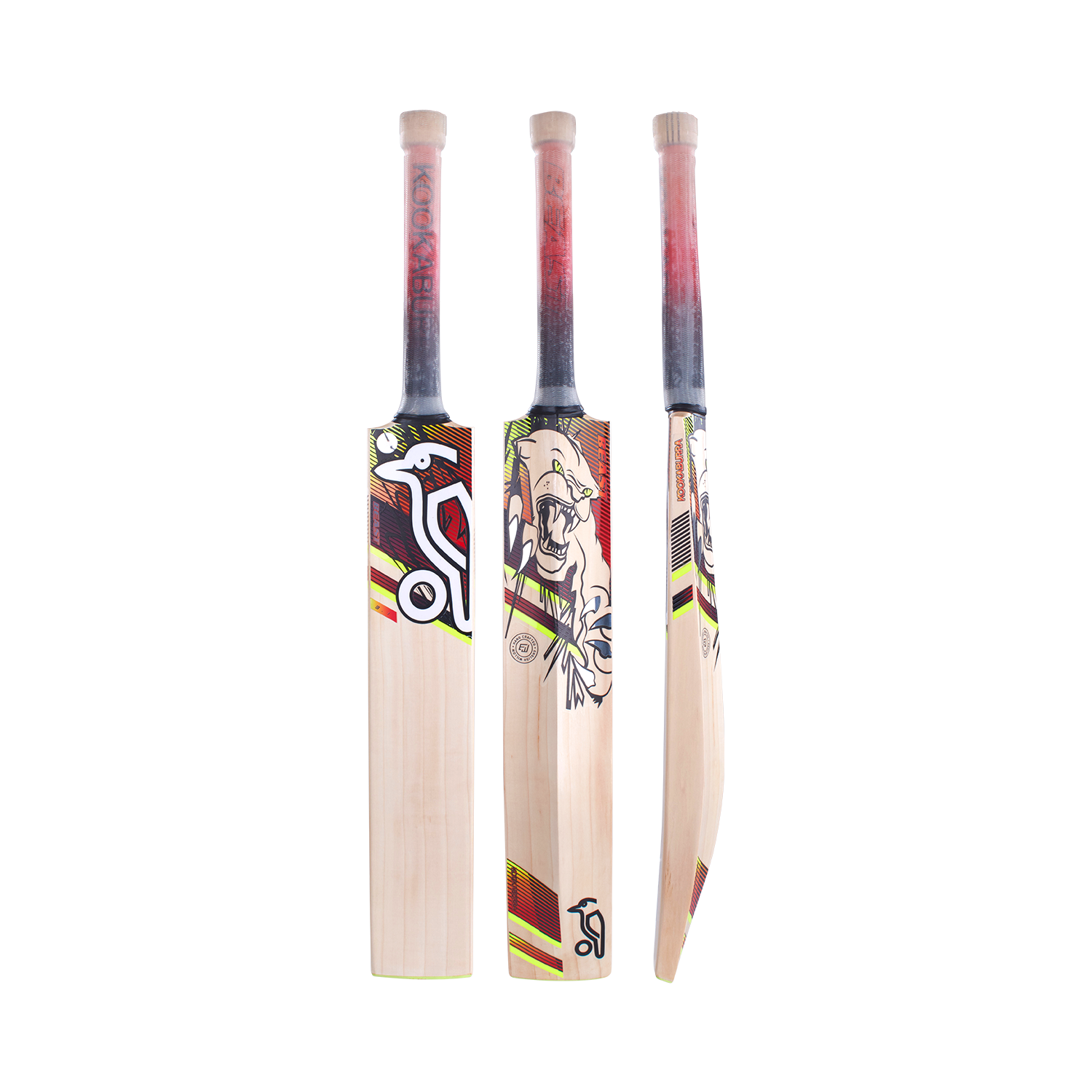 Batte de cricket anglaise Beast 3.1