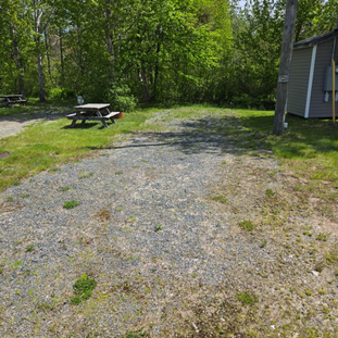 Gravel back-in campsite with picnic table and trees.