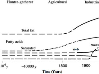 Why is our Omega 3 and Omega 6 ratio important? or why are we becoming obese?