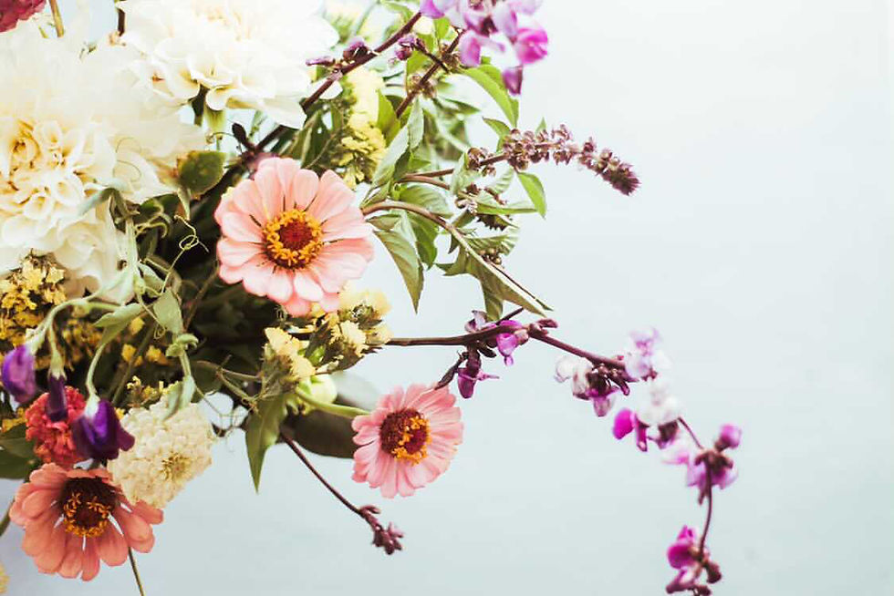 An Evening of blooms.