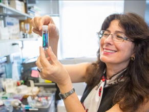 Prof. Joanna Aizenberg
