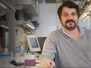 Prof. David A. Weitz