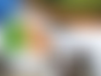 New Voices. Old problems. A dispatch from the Alabama – Georgia joint museums conference.