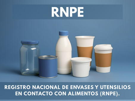 Que es el RNPE