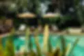 alberca.webp