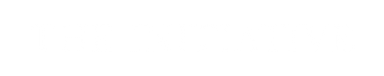 Initiative Logo - White.png