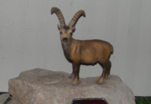trofeo.PNG