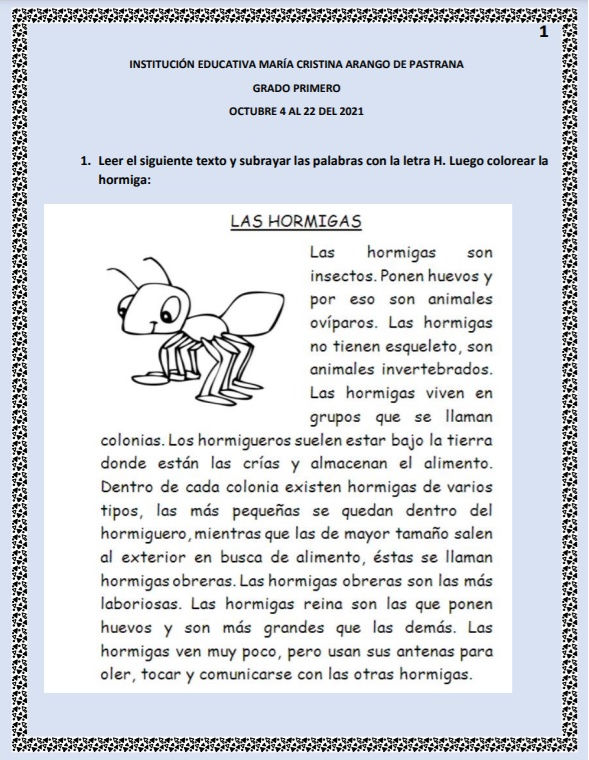imagen1.jpg