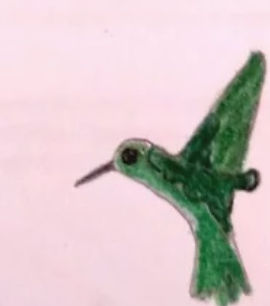 colibrii.jpg