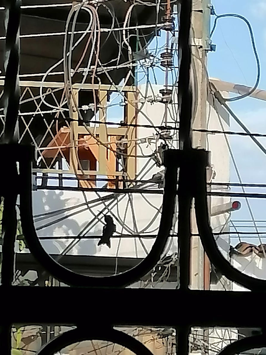 WhatsApp Image 2021-09-17 at 6.08.49 PM.jpeg