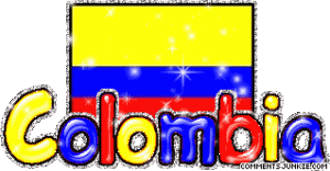 bandera-de-colombia-animada-2-300x156.gif