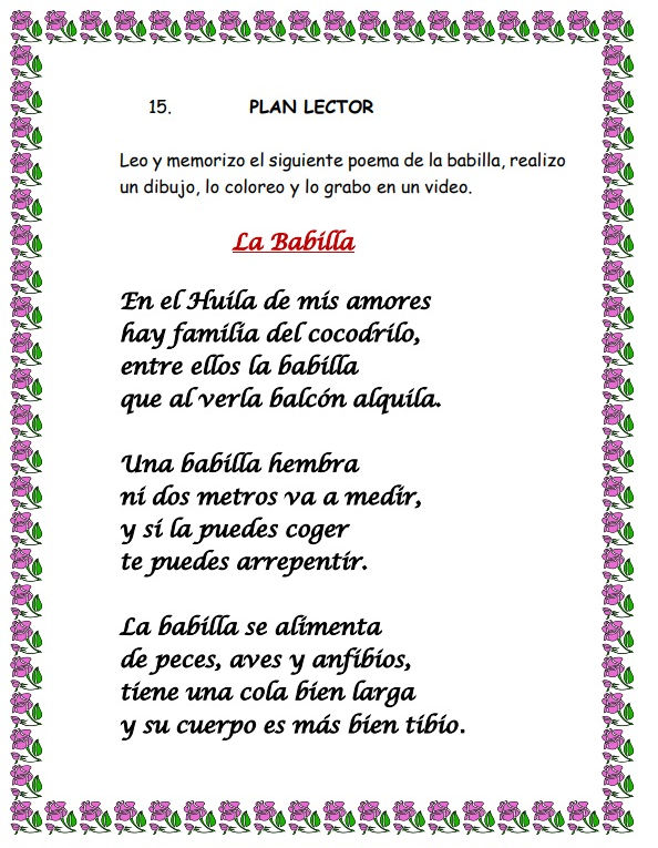 imagen 13.jpg