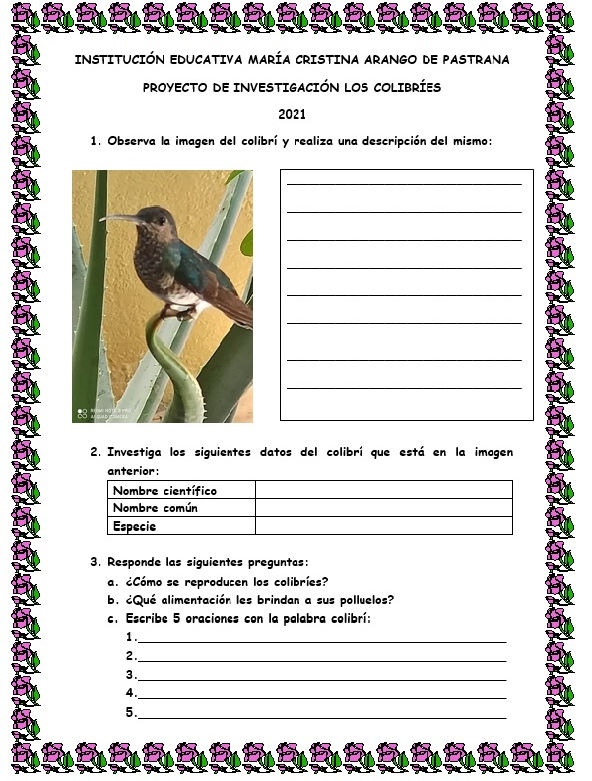 Sin título 2.jpg