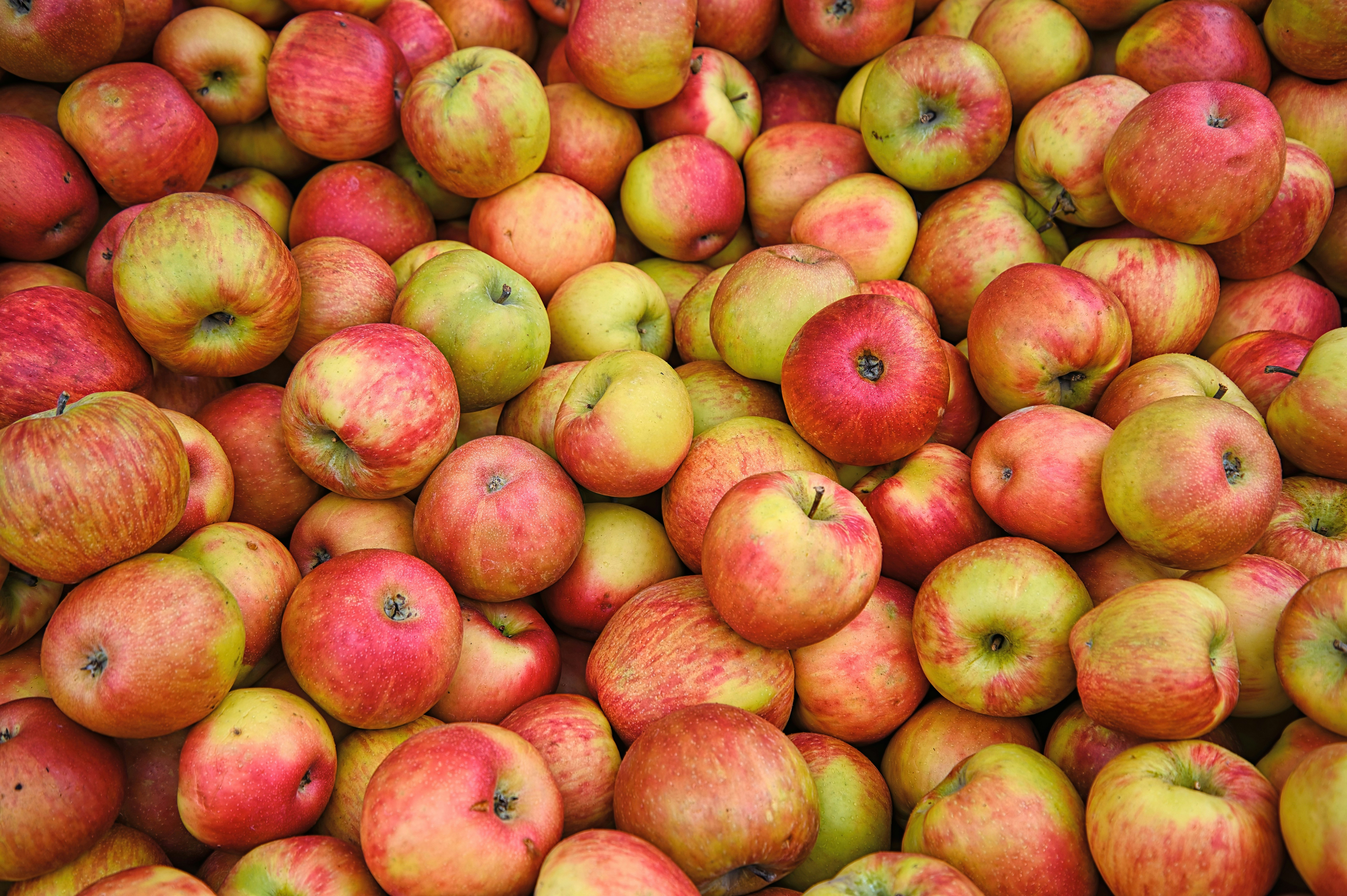 a bunch of apples