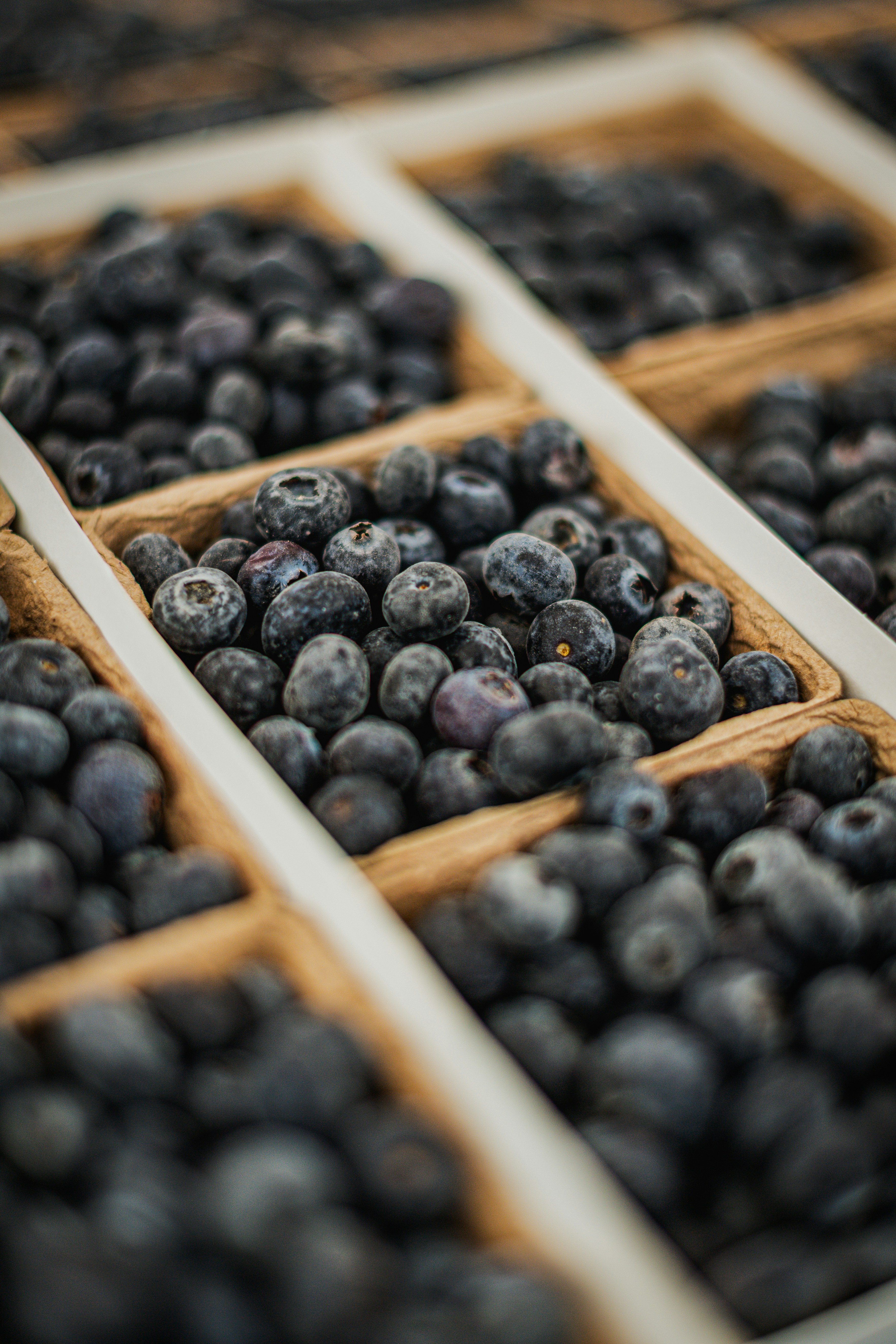 blueberries