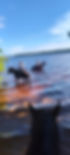 att.Y-Ro3-z_Hw7Kn3vWusjN3-H9v1FMMVDi3ukekaa6RBE.JPG