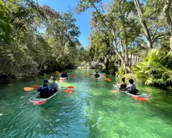 Kayak