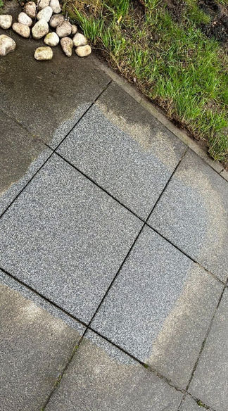 WhatsApp Image 2023-03-23 at 19.01.15.jpeg