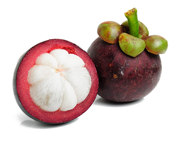 mangosteen.png
