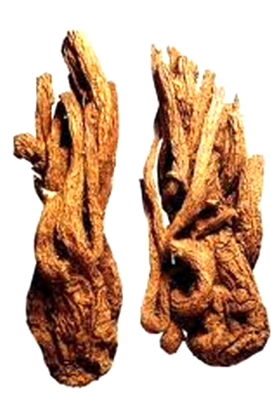tungkui.png