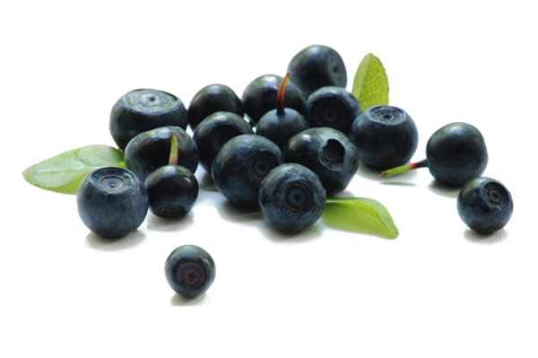 Acai-Berry.png