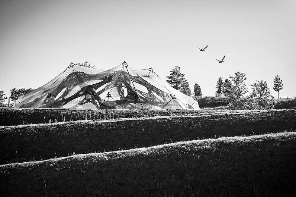 bw_08.jpg