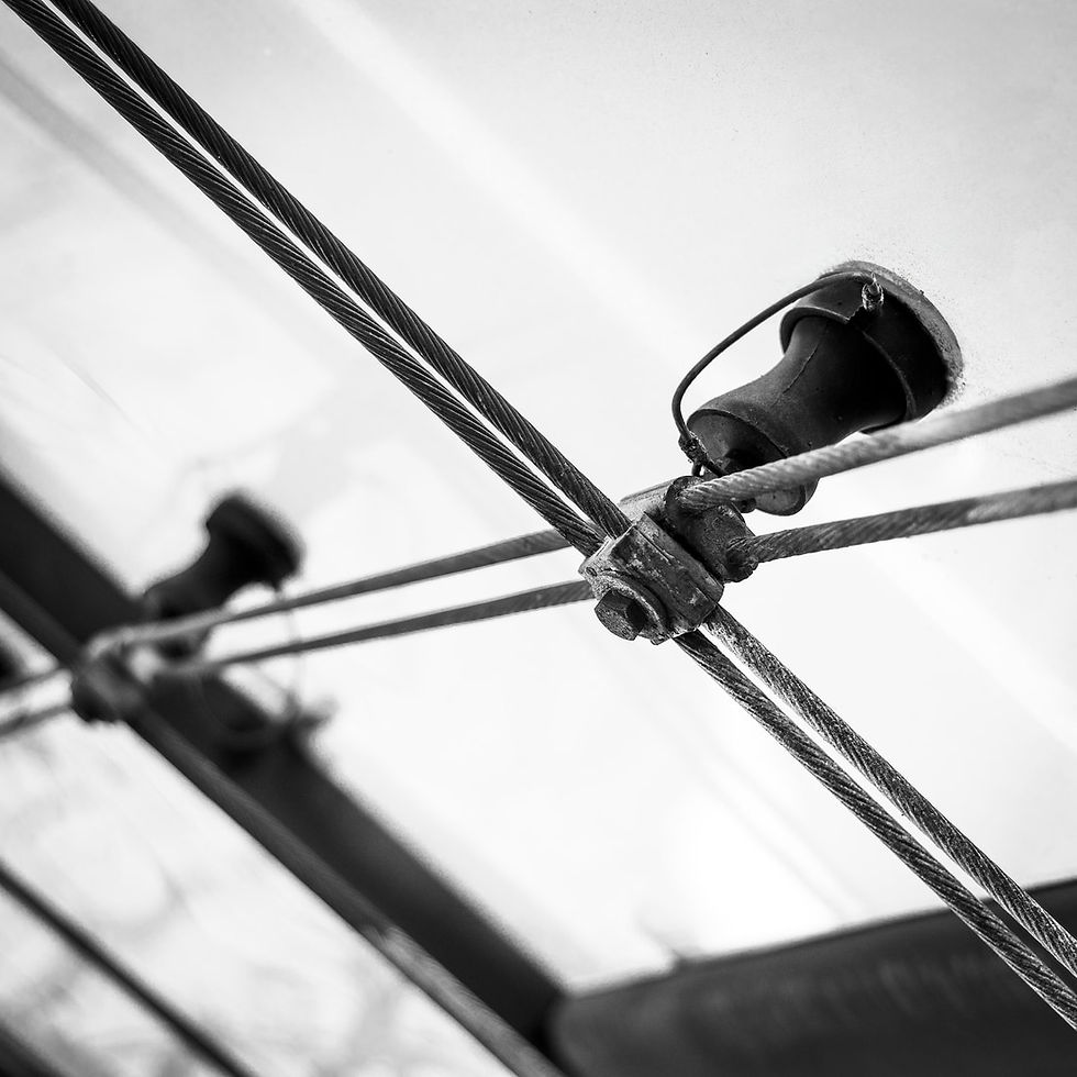 bw_14.jpg