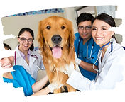 Design sem nome (28).jpg