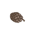 Pine Cone 6