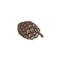 Pine Cone 6