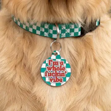 Thumbnail: I'm a Whole Fuckin Vibe Pet ID ~ Bad Tags