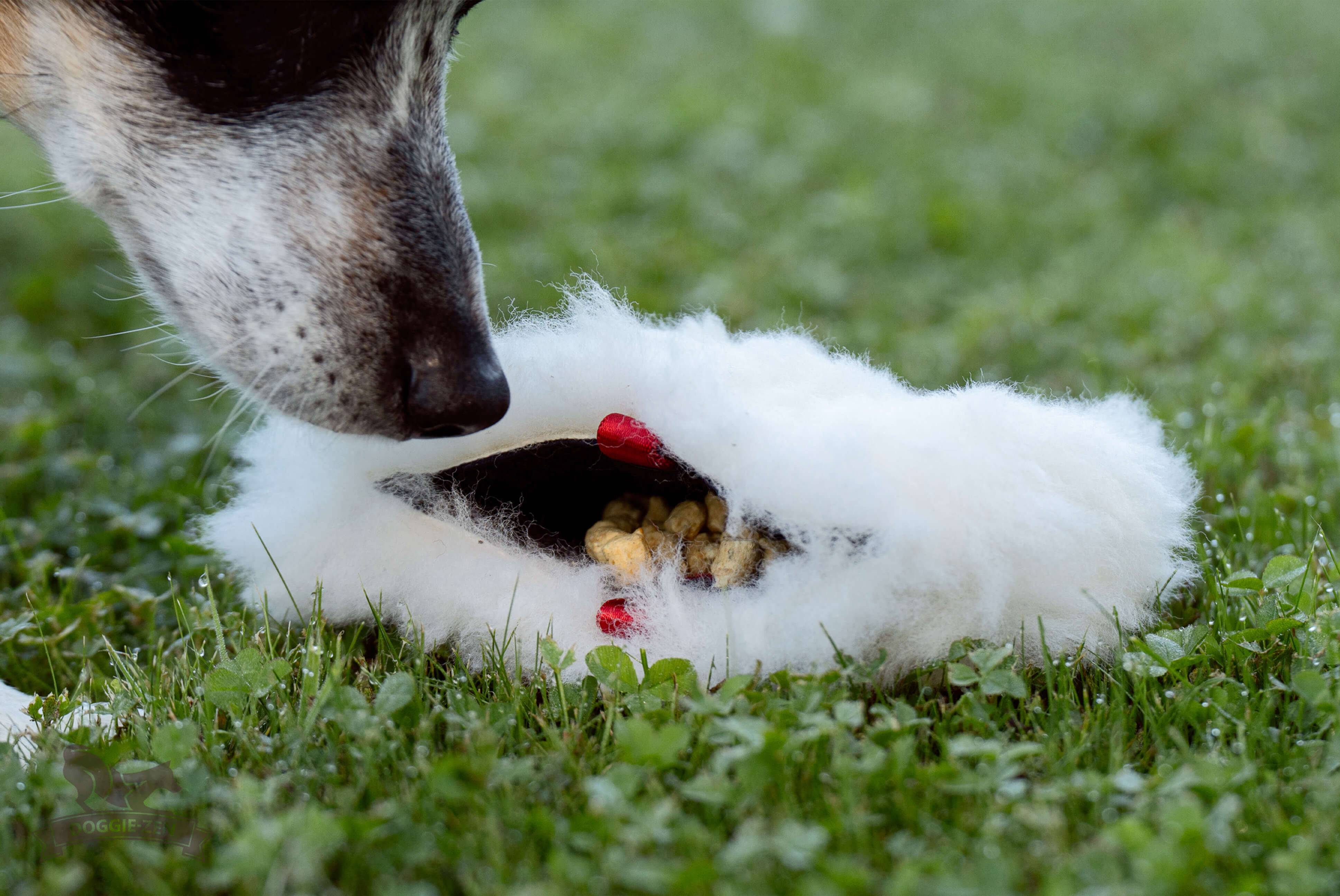 Pocket Treat Sheep L