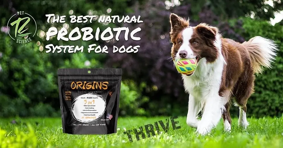 Thumbnail: Origins 5-in-1 Pork ~ Rogue Pet Science