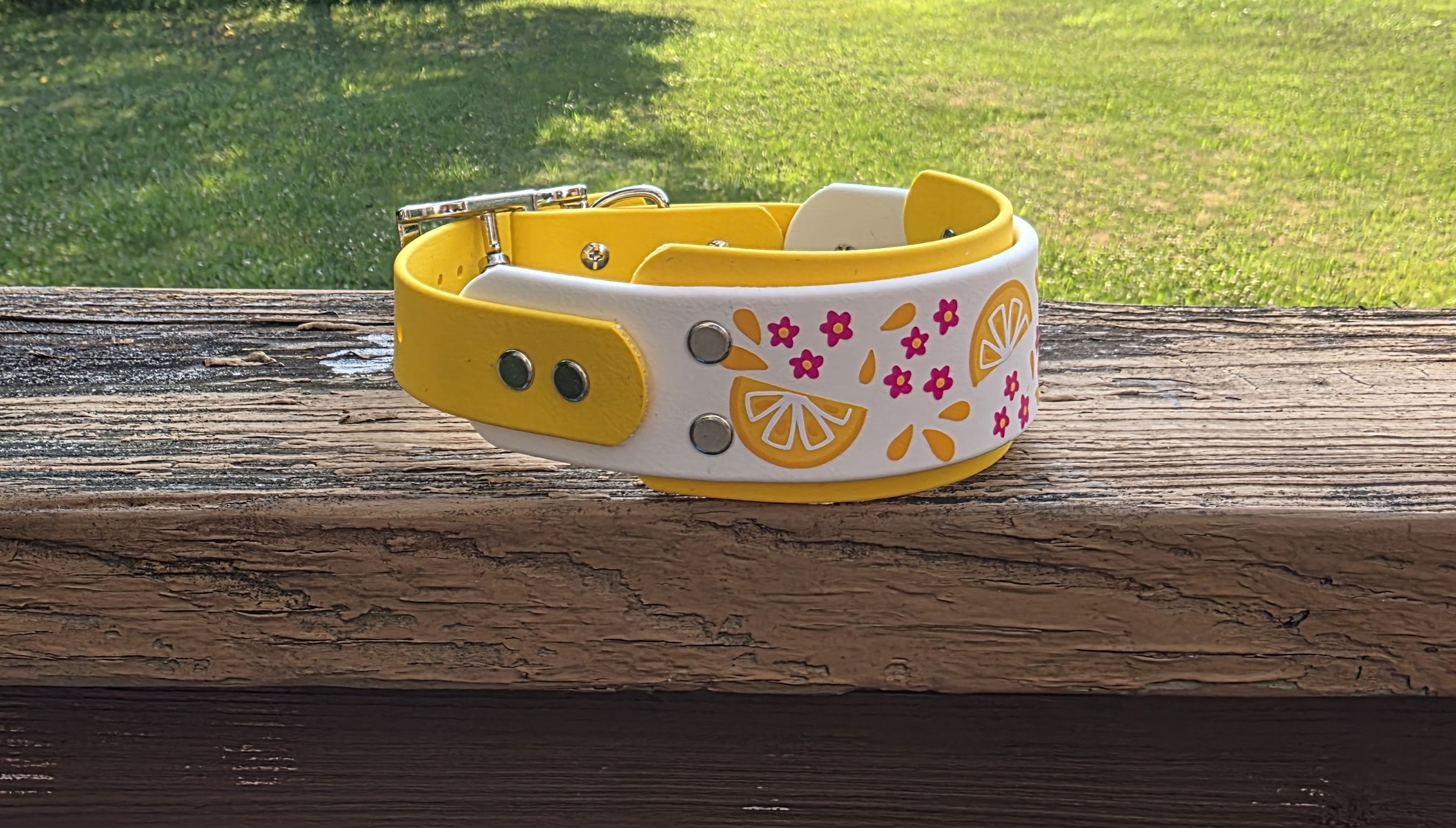12" - 15" Lemons UV Biothane Collar