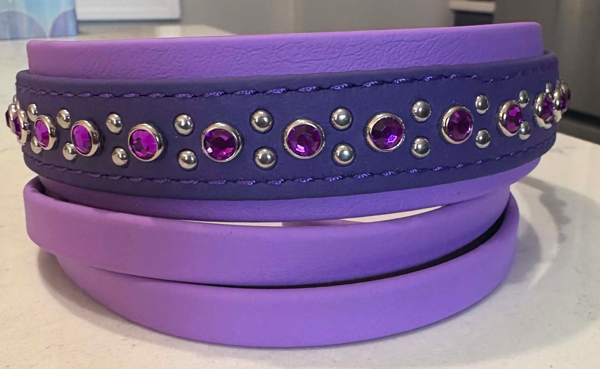 15.5" - 18.5" Purples Biothane Collar/Leash Set