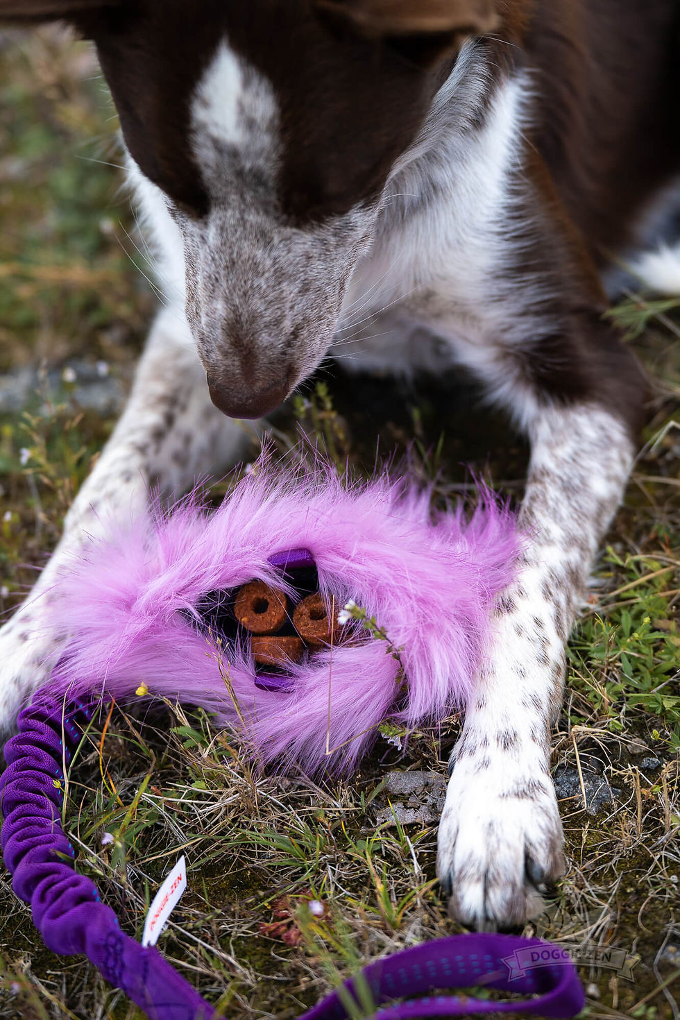 Thumbnail: Bungee Treat + Crinkle Faux Fur ~ 3 sizes