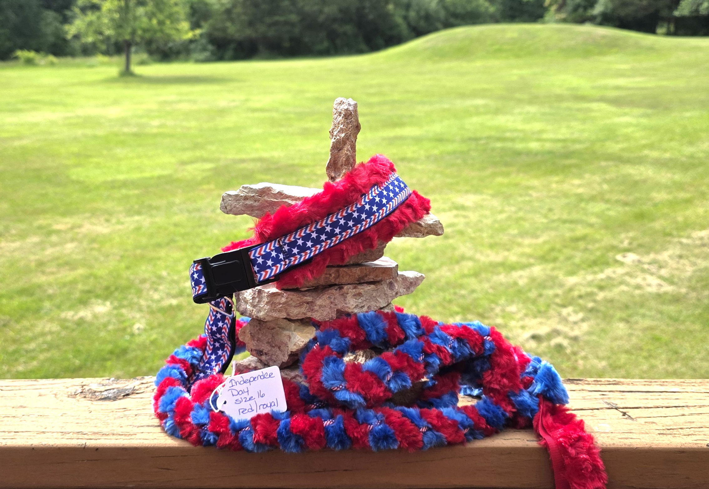 16" Independence Day Minky Martingale Leash