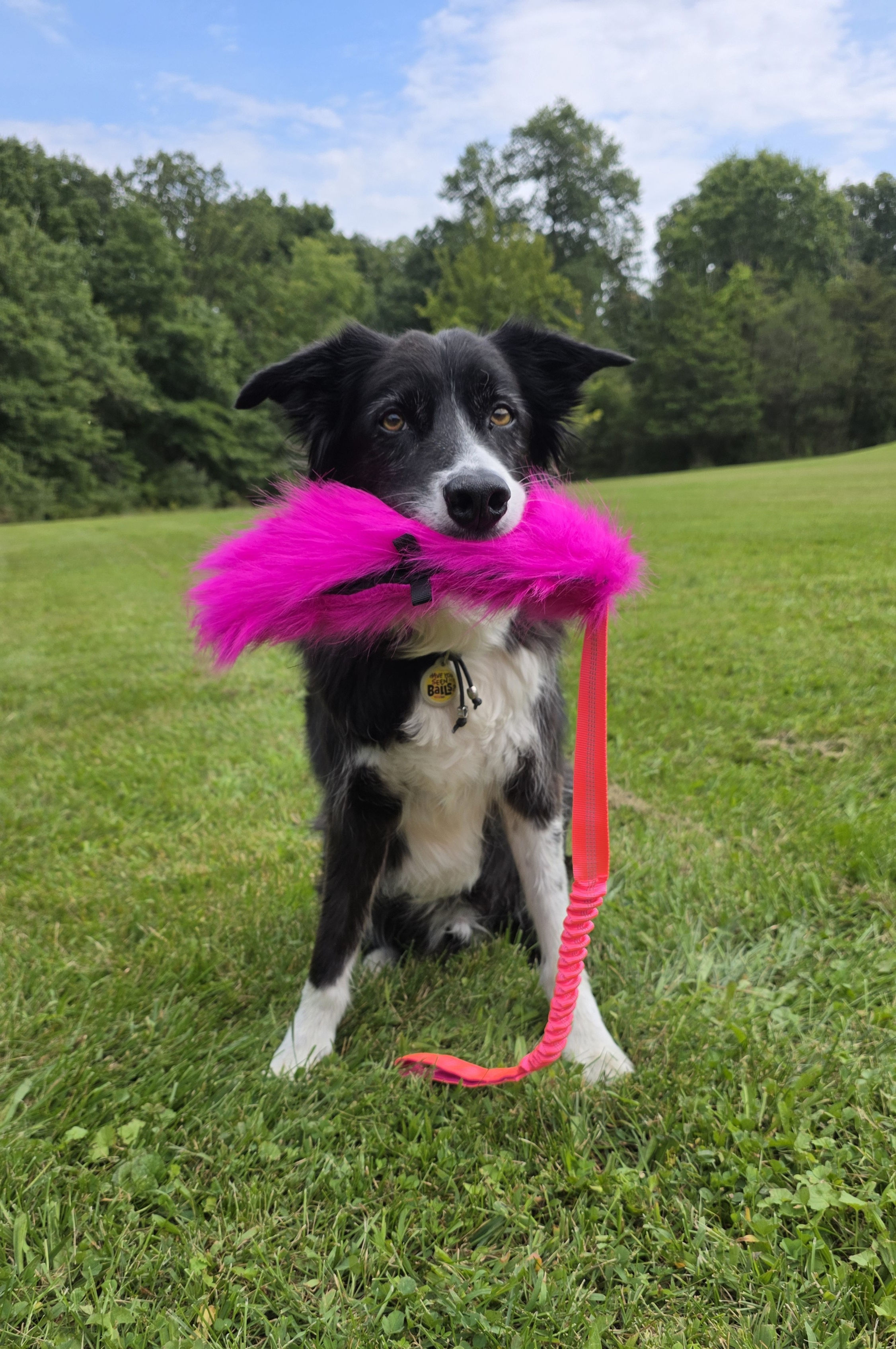 Faux Bait Bungee Tug